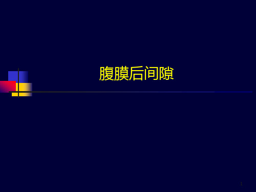 腹膜后间隙超声PPT参考幻灯片