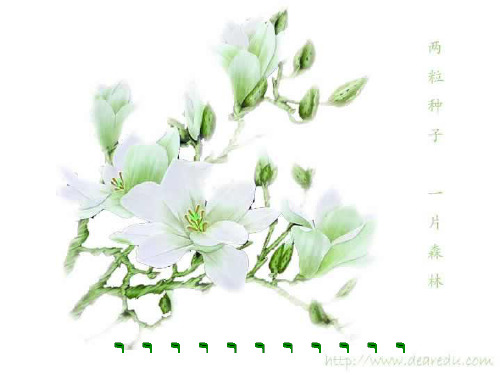 社会主义现代化建设新局面的形成(教学课件201911)