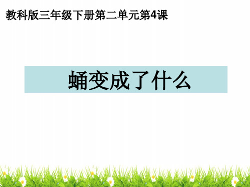 最新教科版科学三年级下册《蛹变成了什么》精品课件