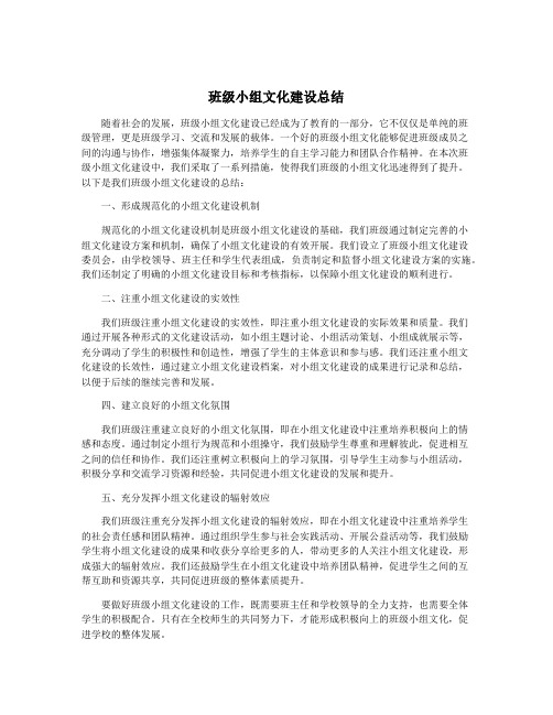 班级小组文化建设总结