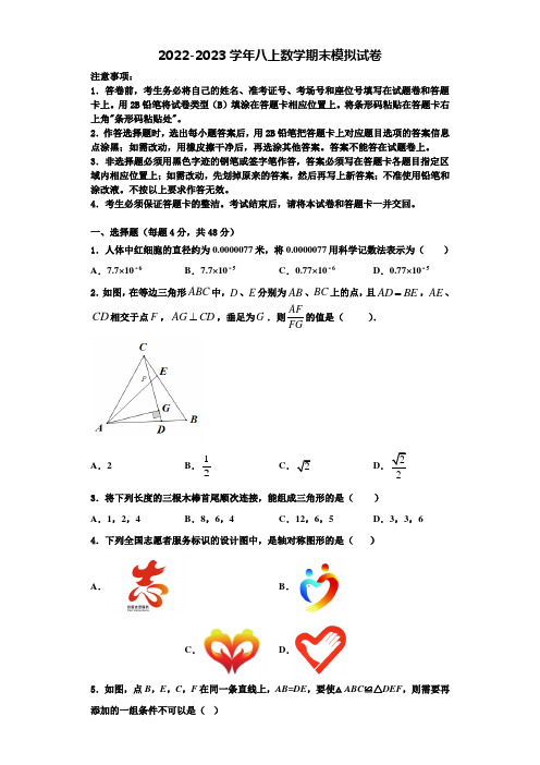 浙江省温州市八中学数2022年数学八上期末检测试题含解析