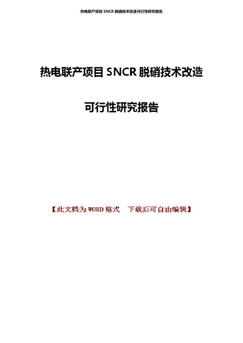 热电联产项目SNCR脱硝技术改造可行性研究报告