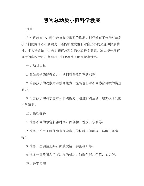 感官总动员小班科学教案