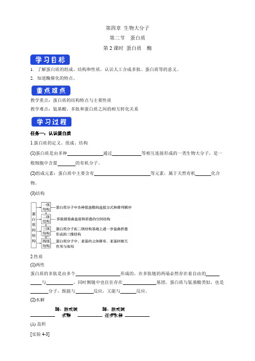 高中化学选择性必修三  第4章第2节 蛋白质 酶学案下学期(解析版)