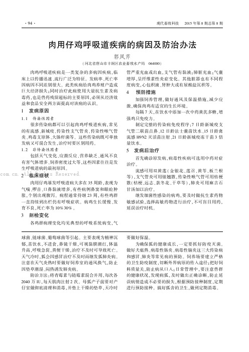 肉用仔鸡呼吸道疾病的病因及防治办法