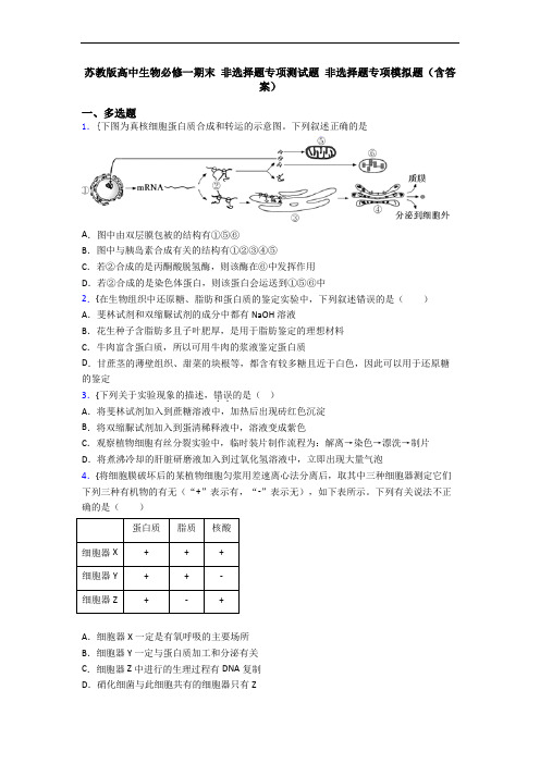 苏教版高中生物必修一期末 非选择题专项测试题 非选择题专项模拟题(含答案)