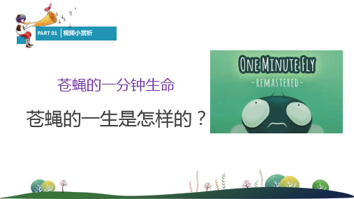 【精品班会课件】高一心理健康复习教案：遇见未来的自己 (共15张PPT)