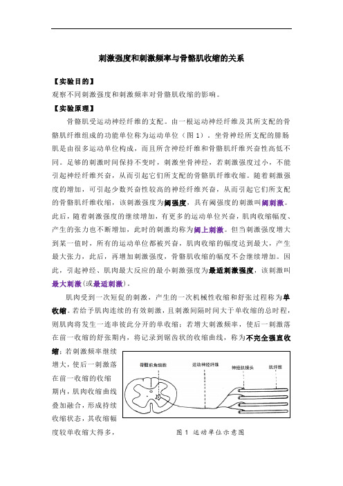 刺激频率、刺激强度与骨骼肌收缩形式的关系20160324