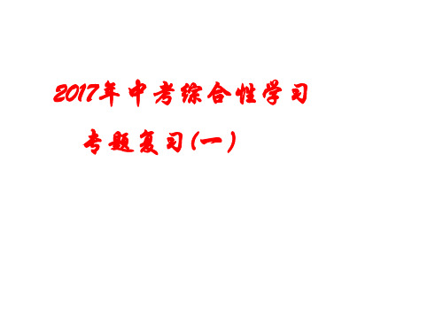 中考语文综合实践专题复习