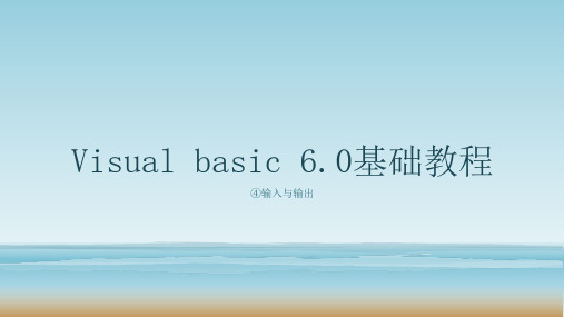 Visual basic 6.0④输入与输出