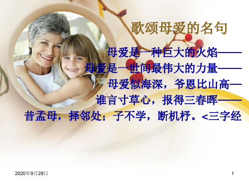 《小巷深处》同上一堂课解析PPT课件