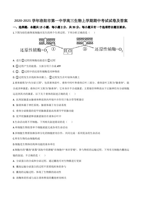 2020-2021学年洛阳市第一中学高三生物上学期期中考试试卷及答案