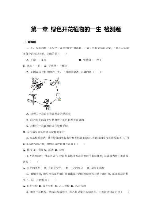 济南版生物八年级上册 第一章 绿色开花植物的一生  检测题(含答案)