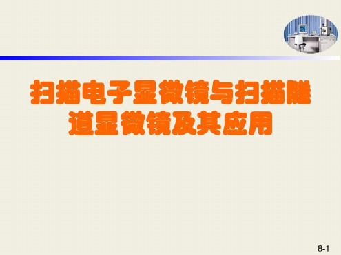 扫描电子显微镜与电子探针显微分析_2022年学习资料