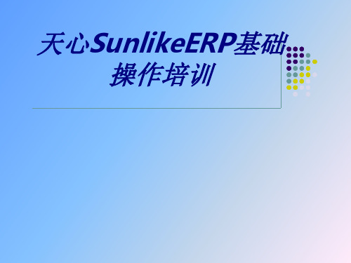 天心SunlikeERP基础操作培训讲义