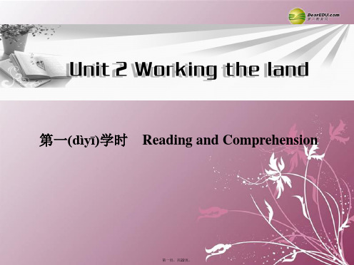 高中英语 Unit2 第一学时Reading and Comprehension同步教学课件 新人教