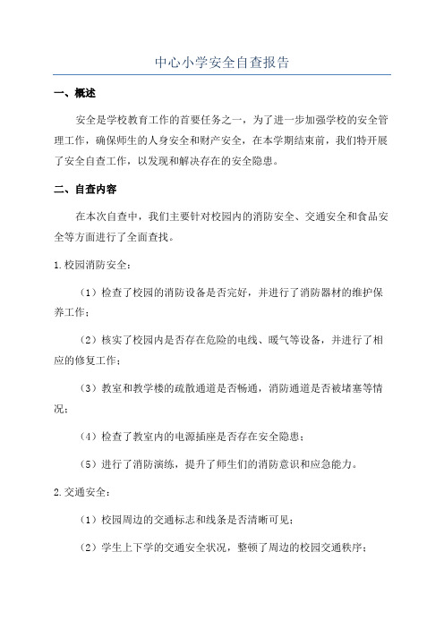 中心小学安全自查报告