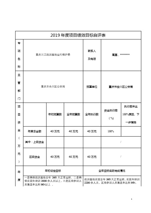 2019年度项目绩效目标自评表【模板】