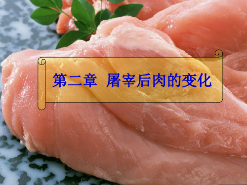 第二章屠宰后肉的变化 畜产食品工艺学课件