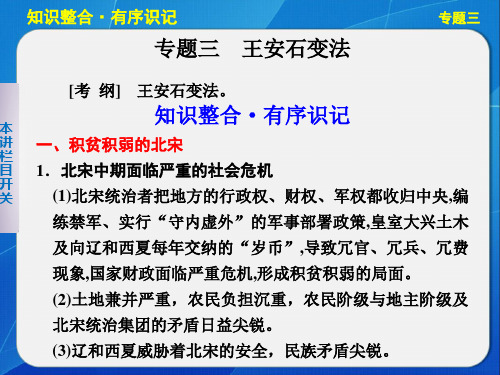 选修 历史上重大改革回眸 专题三