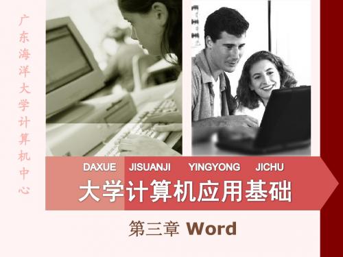 计算机一级考试第三章 Word2003的使用