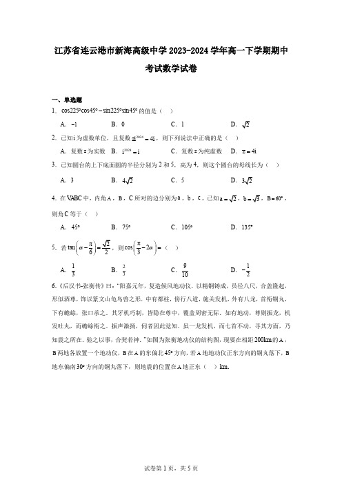 江苏省连云港市新海高级中学2023-2024学年高一下学期期中考试数学试卷