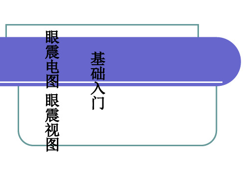 眼震视图