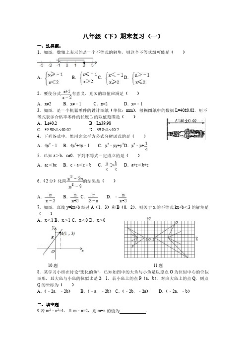 八年级(下)数学期末复习训练