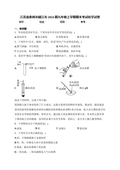 江苏省泰州市靖江市2024届九年级上学期期末考试化学试卷(含答案)