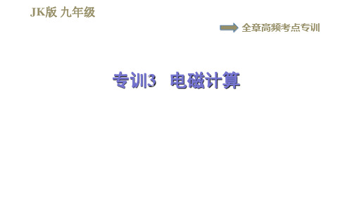 教科版九年级全一册物理习题课件 第七章 全章高频考点专训 专训3 电磁计算