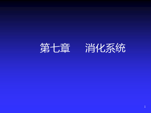 人体解剖生理学第七章消化系统PPT课件