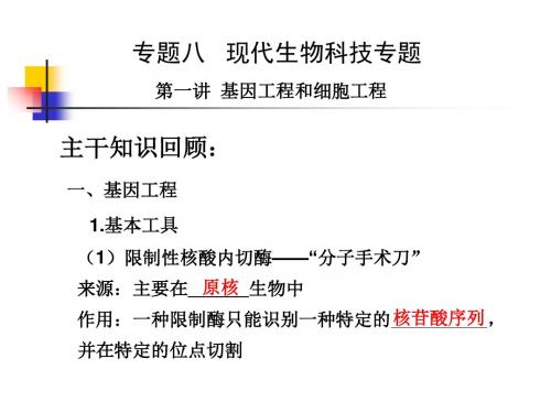 基因工程和细胞工程ppt 通用