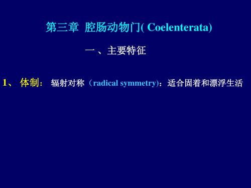 腔肠动物门