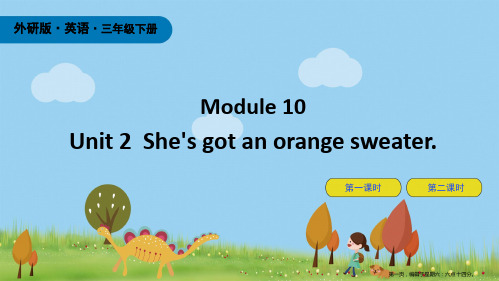 三年级英语下册Module10Unit2She’sgotanorangesweater课件外研版三起