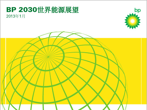 BP2030年世界能源展望()资料精