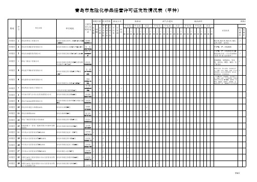 危化品经营企业表(甲类)