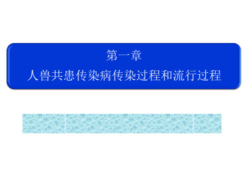 人兽共患传染病传染过程和流行过程