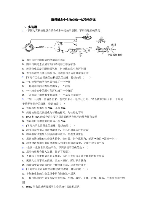 浙科版高中生物必修一试卷和答案