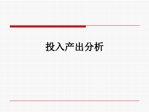 投入产出分析ppt课件