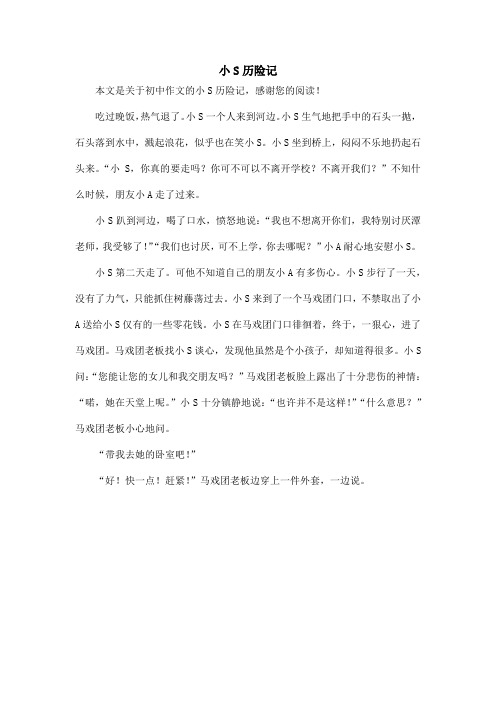 小S历险记_初中作文