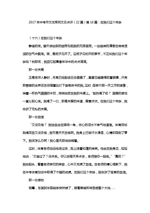 2017年中考作文优秀例文及点评(22篇)第16篇:在我们这个年龄