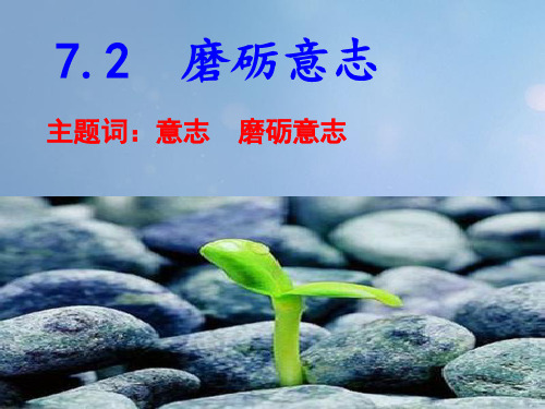 七级道德与法治下册第七单元乐观坚强7.2磨砺意志第1框战胜挫折需要坚强的意志课件粤教版 (1)