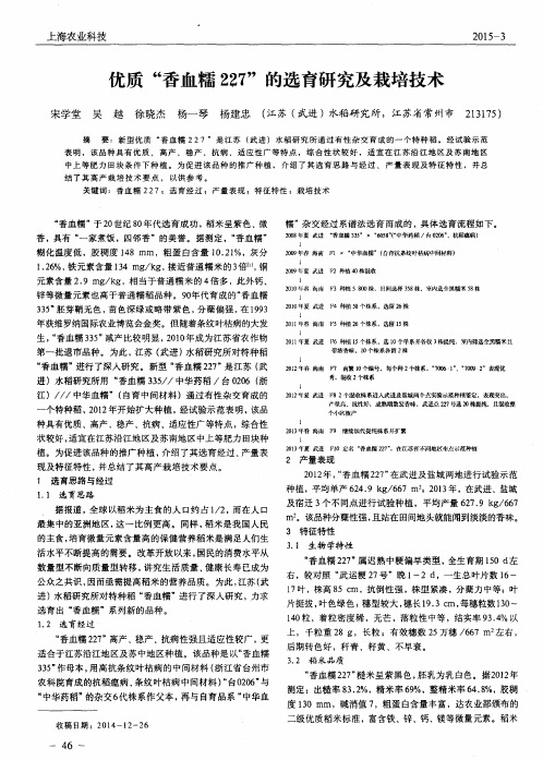 优质“香血糯227”的选育研究及栽培技术
