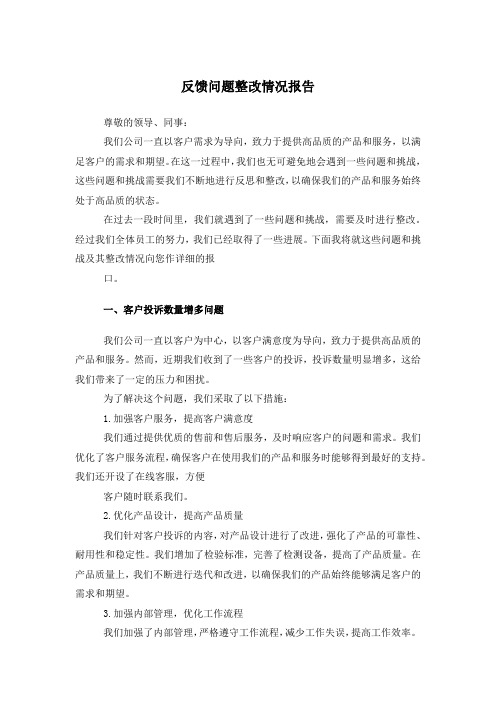 反馈问题整改情况报告