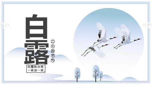 传统节日白露活动策划演示课件工作汇报工作总结模板