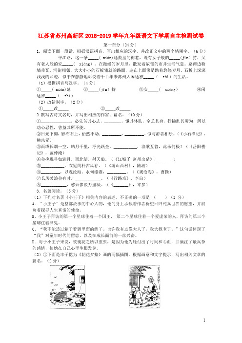 江苏省苏州高新区九年级语文下学期自主检测试卷