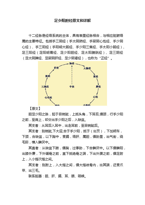 足少阳胆经原文和详解