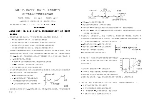 2020届福建省安溪一中、养正中学、惠安一中、泉州实验中学2017级高三下学期期初联考理科综合试卷及答案