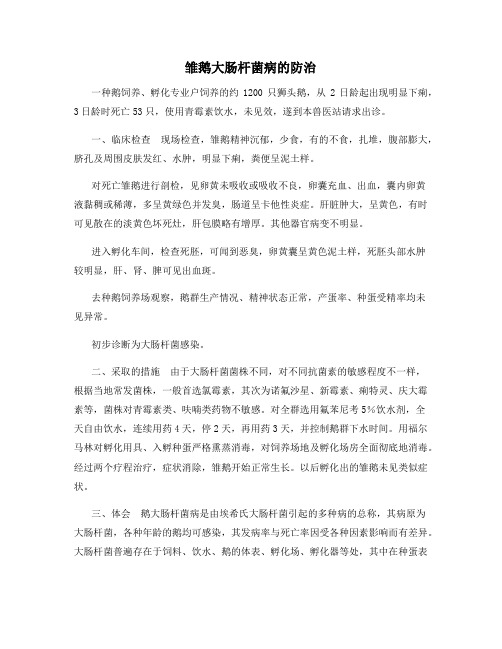 雏鹅大肠杆菌病的防治