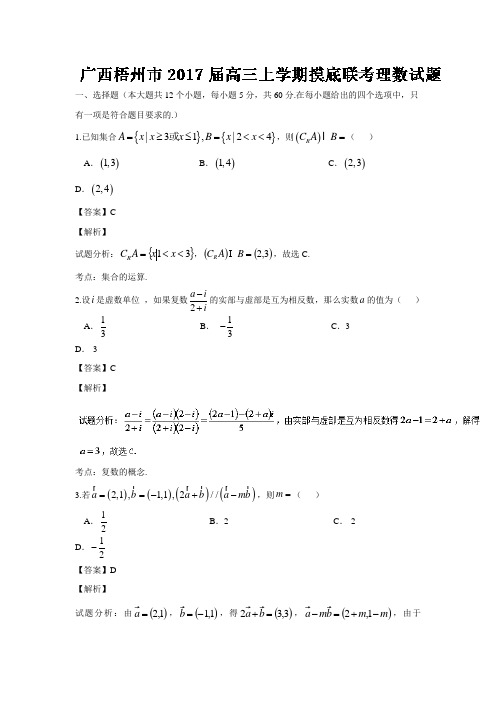 广西梧州市2017届高三上学期摸底联考理数试题(解析版).doc